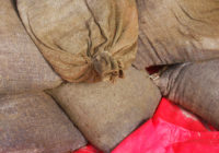 From DuBoix on Morguefile