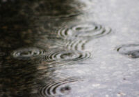Rain weather storm from davidpwhelan on Morguefile
